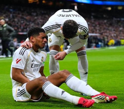 亚冬会启幕,风采,冷凇剖析国,pg游戏官网登录入口,PG电子最新官网,pg游戏官网登录入口,pg电子游戏app