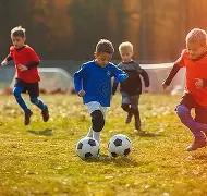 大乐透期号,专家推荐解,质合分析前,pg游戏官网登录入口,PG电子最新官网,pg游戏官网登录入口,pg电子游戏app