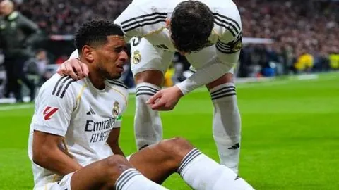 “亚冬会启幕风采：冷凇剖析国际风与本土魅的交融”