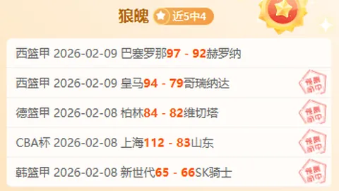 近9场德乙7胜专家推荐，持续看好德乙赛事