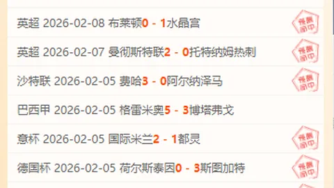 1月11日奈德弗对ETSV汉堡友谊赛展望：往昔对决、数据对比与赛前预测